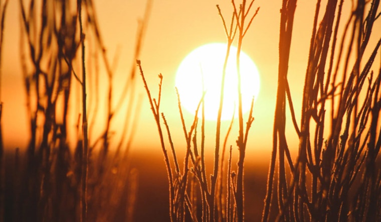 Sacramento Activates Cooling Centers in Response to Heat Advisory, Pets Welcome at OEC, Free Transit Available