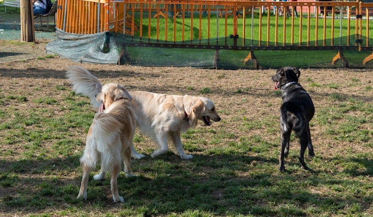 Saint Paul's Final 'Kick it at Kellogg' Event to Offer Fun for Pets and Owners at Kellogg Mall Park