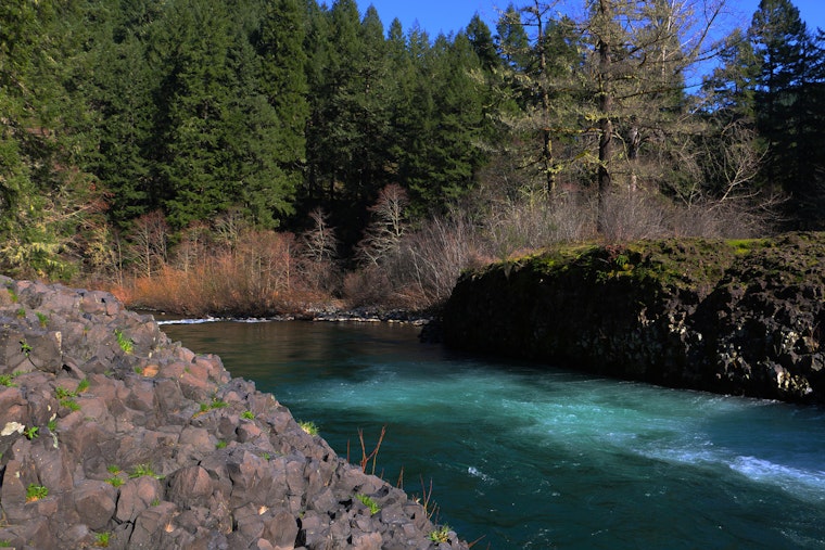 Salem Man Drowns in Molalla River as Swift Rescue Response Fails to Save Victim