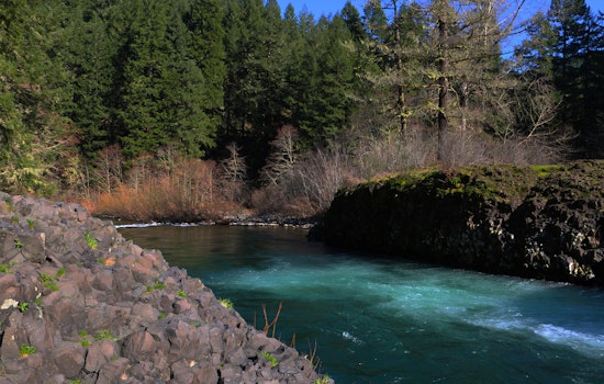 Salem Man Drowns in Molalla River as Swift Rescue Response Fails to Save Victim