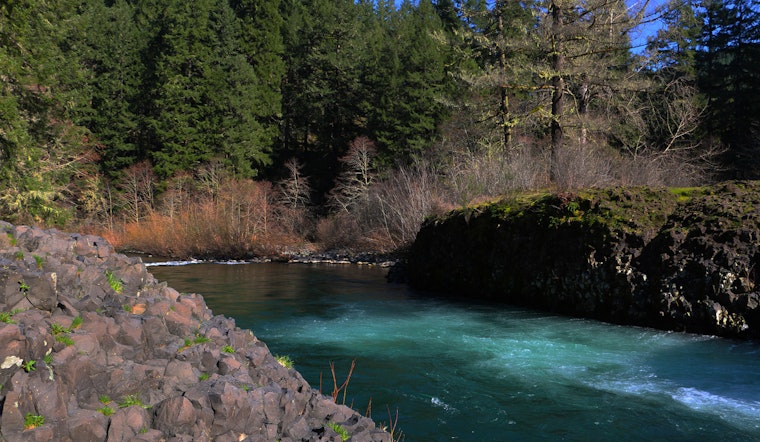 Salem Man Drowns in Molalla River as Swift Rescue Response Fails to Save Victim