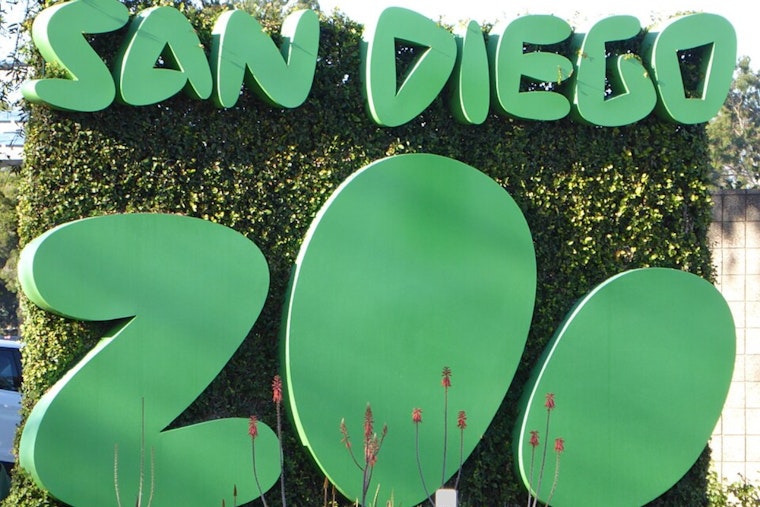 San Diego Artists Honor Beloved Zoo Animals with Touching East Village Mural
