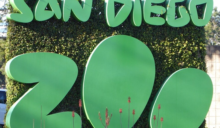 San Diego Artists Honor Beloved Zoo Animals with Touching East Village Mural