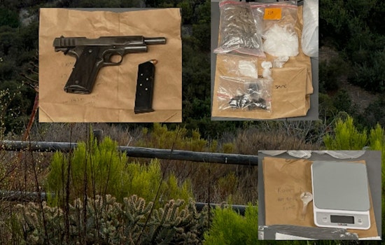 San Diego Police Nab Wanted Individual, Seize Drugs and Weapons in Swan Canyon Operation