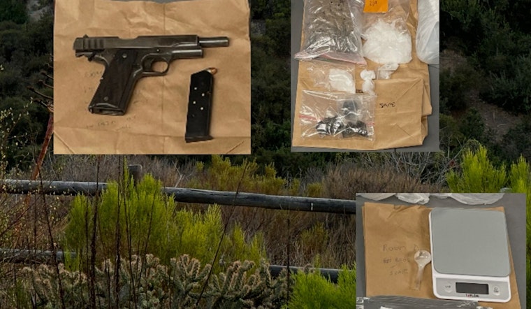 San Diego Police Nab Wanted Individual, Seize Drugs and Weapons in Swan Canyon Operation