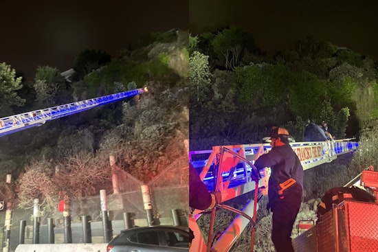 VIDEO: San Francisco Firefighters Heroically Rescue Individual After 50-Foot Cliff Fall