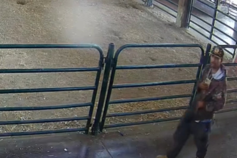 San José Community Shaken by Theft of Turkey and Chickens from Emma Prusch Farm Park