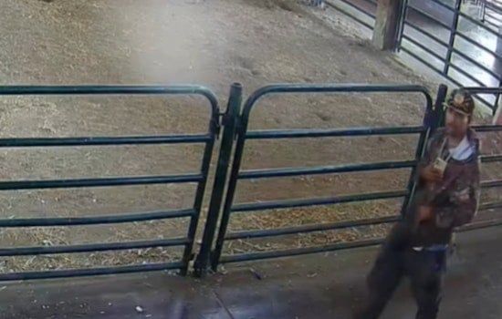 San José Community Shaken by Theft of Turkey and Chickens from Emma Prusch Farm Park