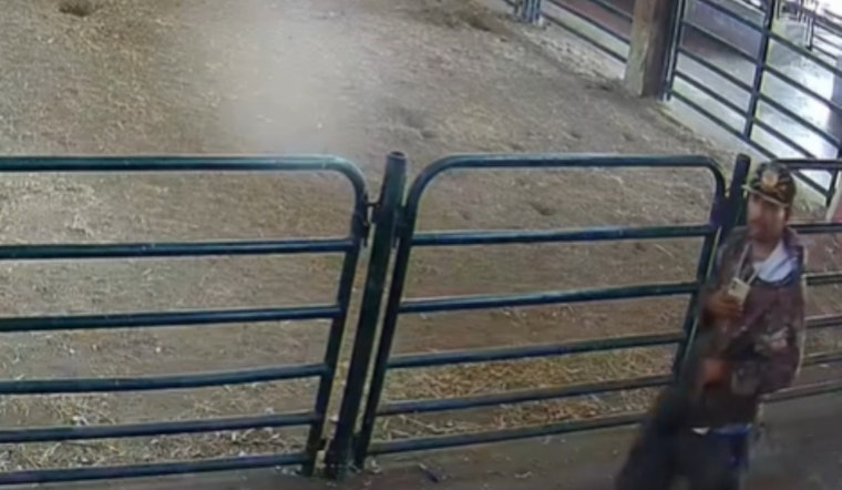 San José Community Shaken by Theft of Turkey and Chickens from Emma Prusch Farm Park