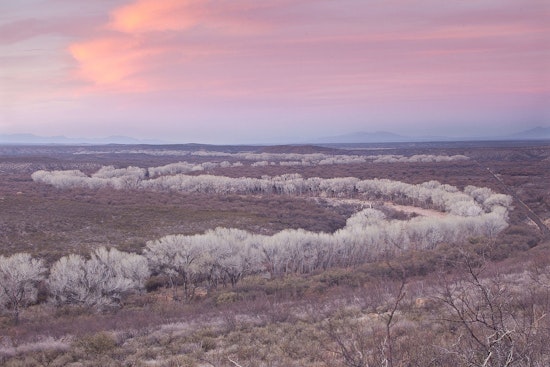 San Pedro River at Risk: Faraday Copper Advances Drilling Near Critical Habitat Despite Environmental and Tribal Concerns