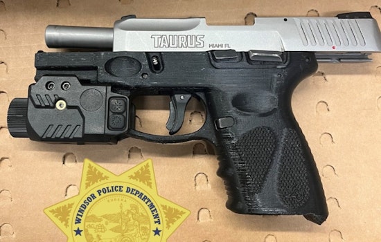 Santa Rosa Teen Arrested for Firearm Possession After Pat Elsbree Skate Park Brawl