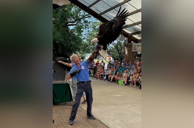 Scorching Heat Grounds Raptor Presentations at Missouri State Fair, Morning Show Still Takes Flight