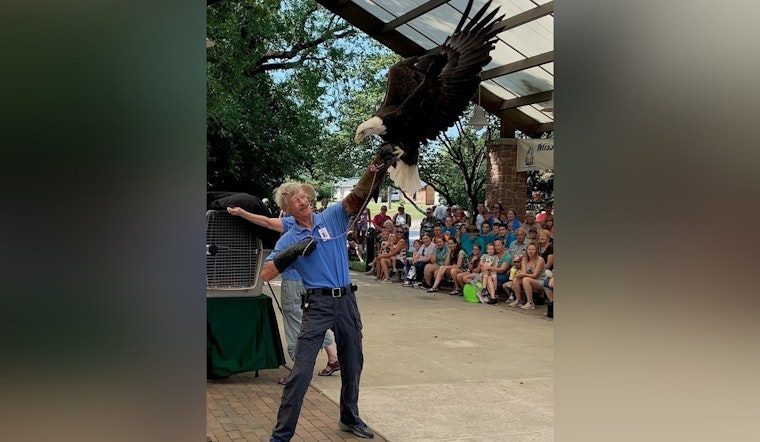 Scorching Heat Grounds Raptor Presentations at Missouri State Fair, Morning Show Still Takes Flight