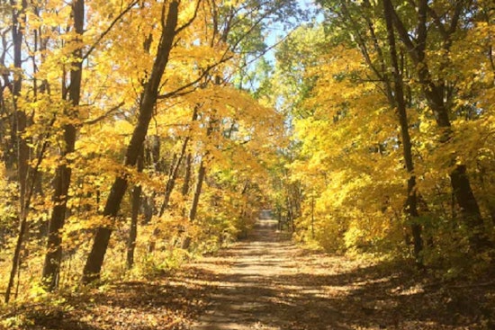 Scott County's "Paint the Prairie" Event Invites Artistic Exploration of Autumn Wildflowers at Murphy-Hanrehan Park Reserve