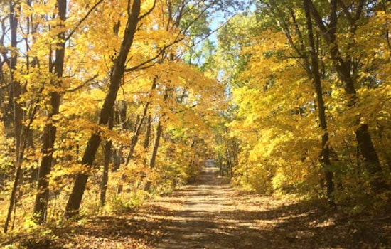 Scott County's "Paint the Prairie" Event Invites Artistic Exploration of Autumn Wildflowers at Murphy-Hanrehan Park Reserve