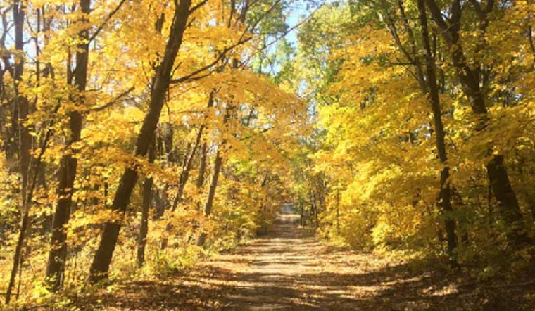 Scott County's "Paint the Prairie" Event Invites Artistic Exploration of Autumn Wildflowers at Murphy-Hanrehan Park Reserve
