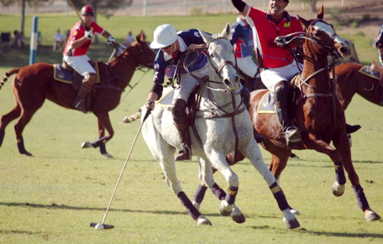 Scottsdale Bolsters Tourism Appeal with Strategic Investments in Cultural and Sporting Events