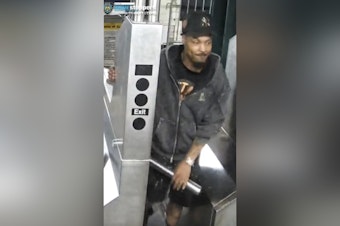 Search Underway for Suspect in Theft of Dog from Owner on Bronx Subway