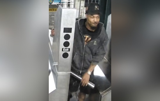 Search Underway for Suspect in Theft of Dog from Owner on Bronx Subway
