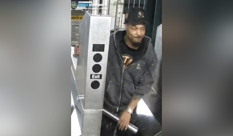 Search Underway for Suspect in Theft of Dog from Owner on Bronx Subway