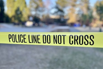 Seattle Police Investigate Double Homicide at Virgil Flaim Park, Suspect Still at Large