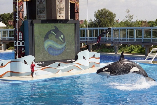 SeaWorld San Diego Revitalizes Journey to Atlantis Ride with New Twists and Enhanced Visuals