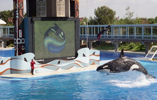 SeaWorld San Diego Revitalizes Journey to Atlantis Ride with New Twists and Enhanced Visuals