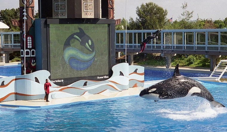 SeaWorld San Diego Revitalizes Journey to Atlantis Ride with New Twists and Enhanced Visuals