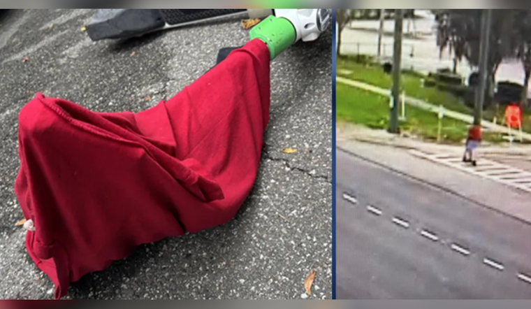Seminole County Sheriff's Office Apprehends Suspect After Sexual Assault on Wekiva Trail, Community Urged to Stay Alert