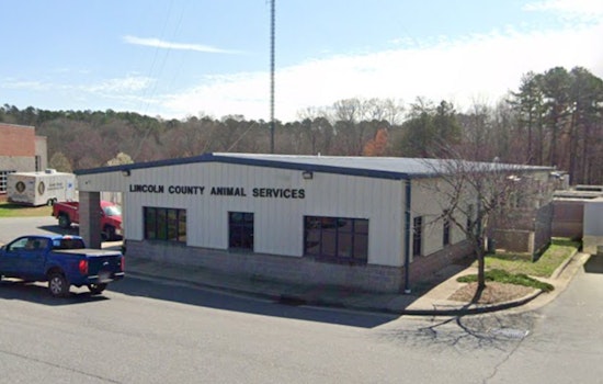 Seventh Rabies Case of 2025 Confirmed in Lincoln County Following Skunk Encounter