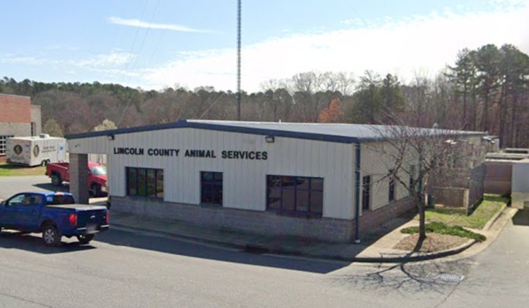 Seventh Rabies Case of 2025 Confirmed in Lincoln County Following Skunk Encounter