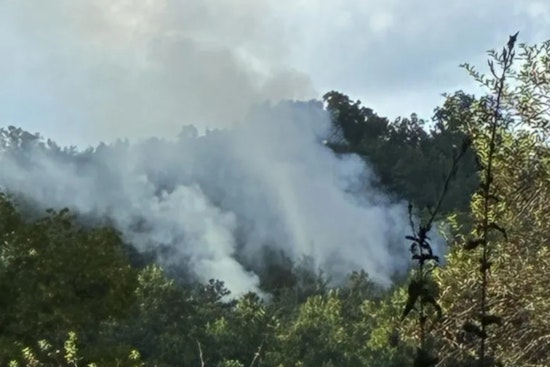 Sevier County Fire & Rescue Battling Three-Acre Brush Fire Near Richardson Cove Road