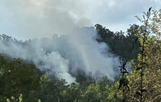 Sevier County Fire & Rescue Battling Three-Acre Brush Fire Near Richardson Cove Road