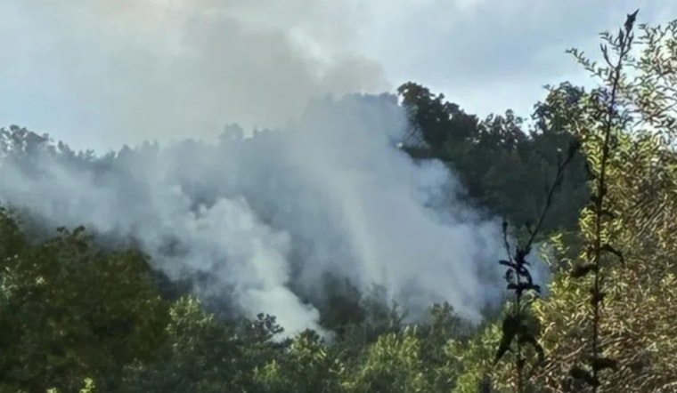 Sevier County Fire & Rescue Battling Three-Acre Brush Fire Near Richardson Cove Road