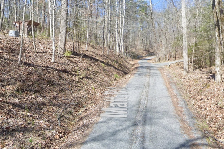 Sevierville Resident Fatally Shoots Bear During Home Invasion, No Violations Found by TWRA