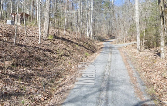 Sevierville Resident Fatally Shoots Bear During Home Invasion, No Violations Found by TWRA