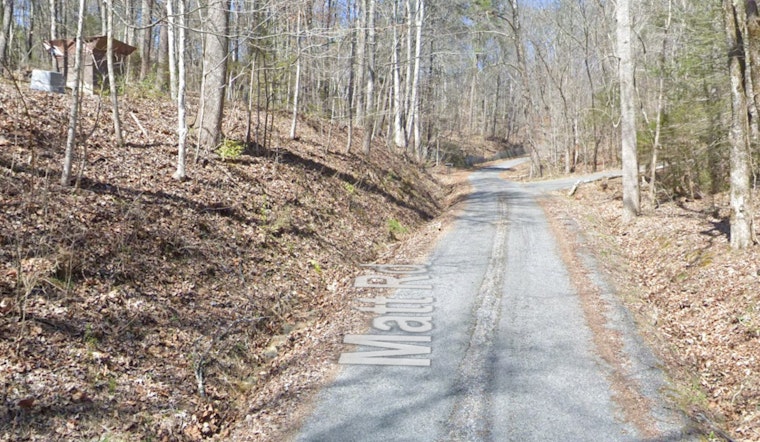Sevierville Resident Fatally Shoots Bear During Home Invasion, No Violations Found by TWRA