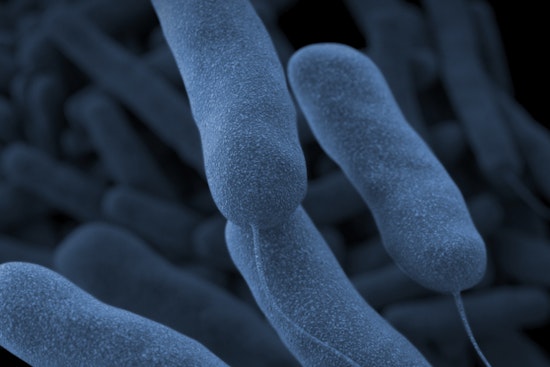 Signs of Relief as Legionnaires' Outbreak in Central Harlem Declines and City Proposes Stricter Regulations