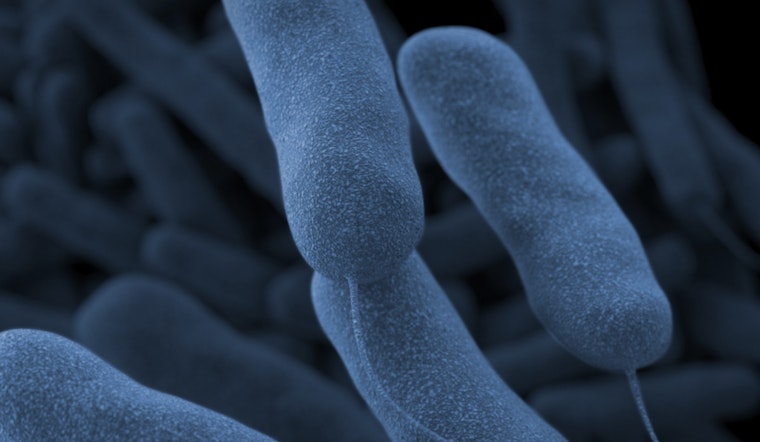 Signs of Relief as Legionnaires' Outbreak in Central Harlem Declines and City Proposes Stricter Regulations