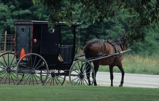 Six Hospitalized After DUI Suspect Hits Amish Buggy in West Michigan