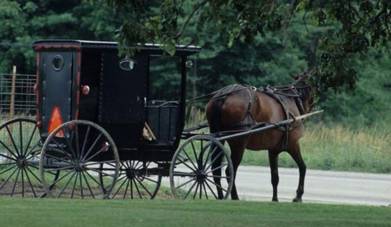 Six Hospitalized After DUI Suspect Hits Amish Buggy in West Michigan