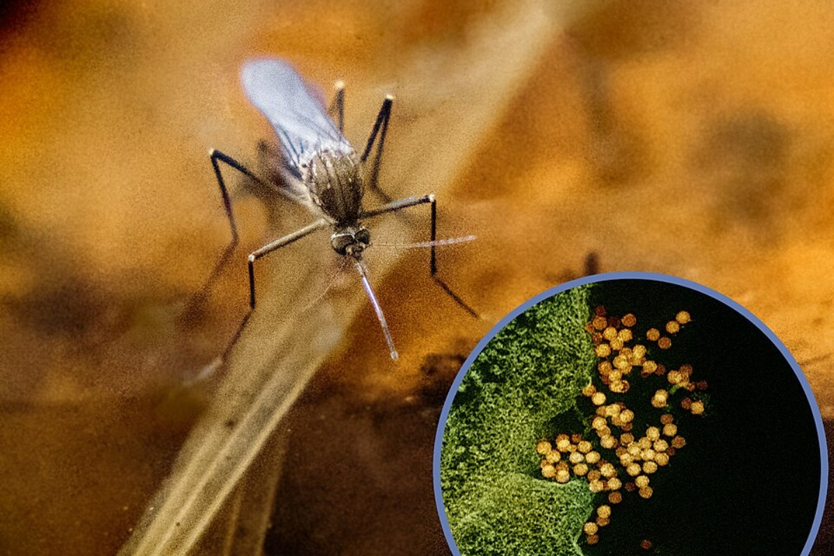 Solano County Authorities Confirm First West Nile Virus Activity of