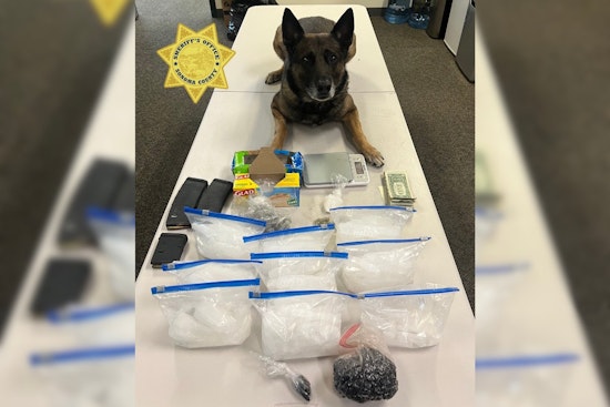 Sonoma Sheriff's Office Busts Suspected Drug Operation in Santa Rosa and Rohnert Park, Two Arrested