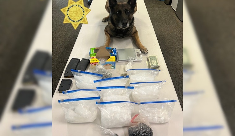 Sonoma Sheriff's Office Busts Suspected Drug Operation in Santa Rosa and Rohnert Park, Two Arrested