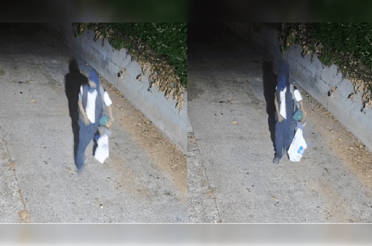 South Seattle on High Alert as Police Investigate Potential Serial Arsonist After String of Fires