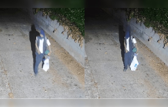 South Seattle on High Alert as Police Investigate Potential Serial Arsonist After String of Fires