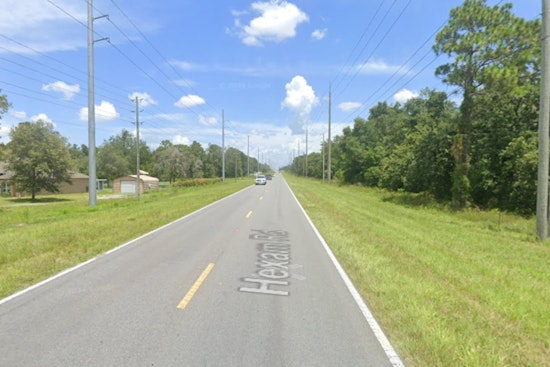 Spring Hill Woman Fatally Struck After Stopping to Aid Injured Opossum