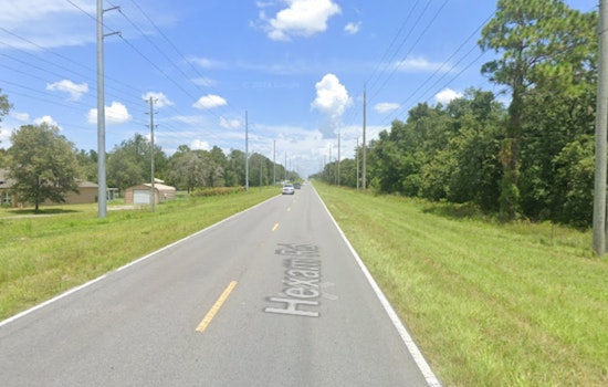 Spring Hill Woman Fatally Struck After Stopping to Aid Injured Opossum