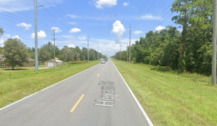 Spring Hill Woman Fatally Struck After Stopping to Aid Injured Opossum