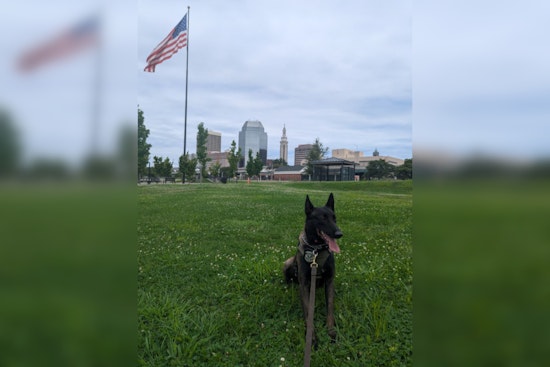 Springfield Police Nab Three Teens with Aid of K9 in Stolen Vehicle Linked to Gun Incident